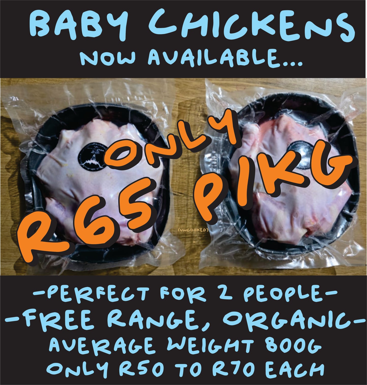 Organic Baby Chickens