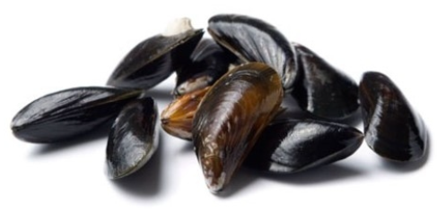 Full Shell Mussels - 800g