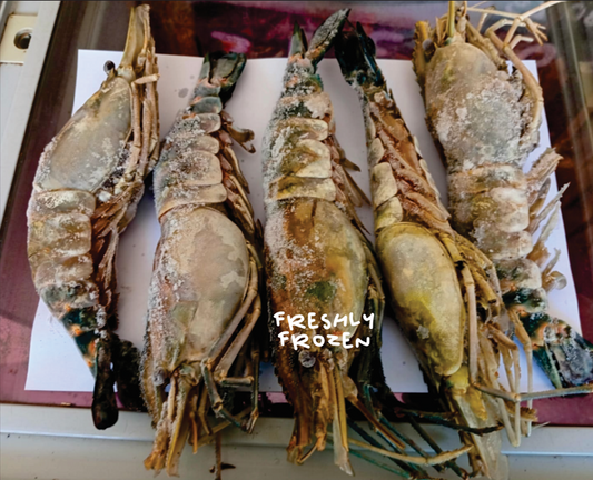 GIANT Mozambique Prawns - biggest you can get!! (sold out, sorry)