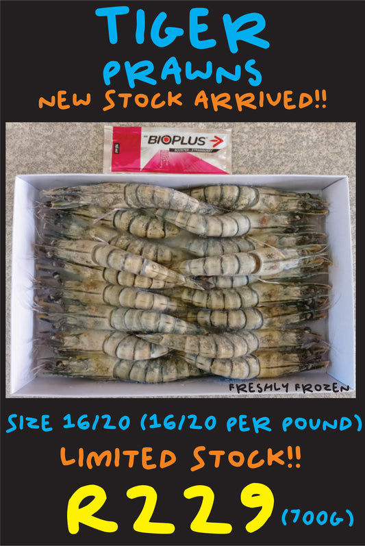 Tiger Prawns 16/20 (700g)