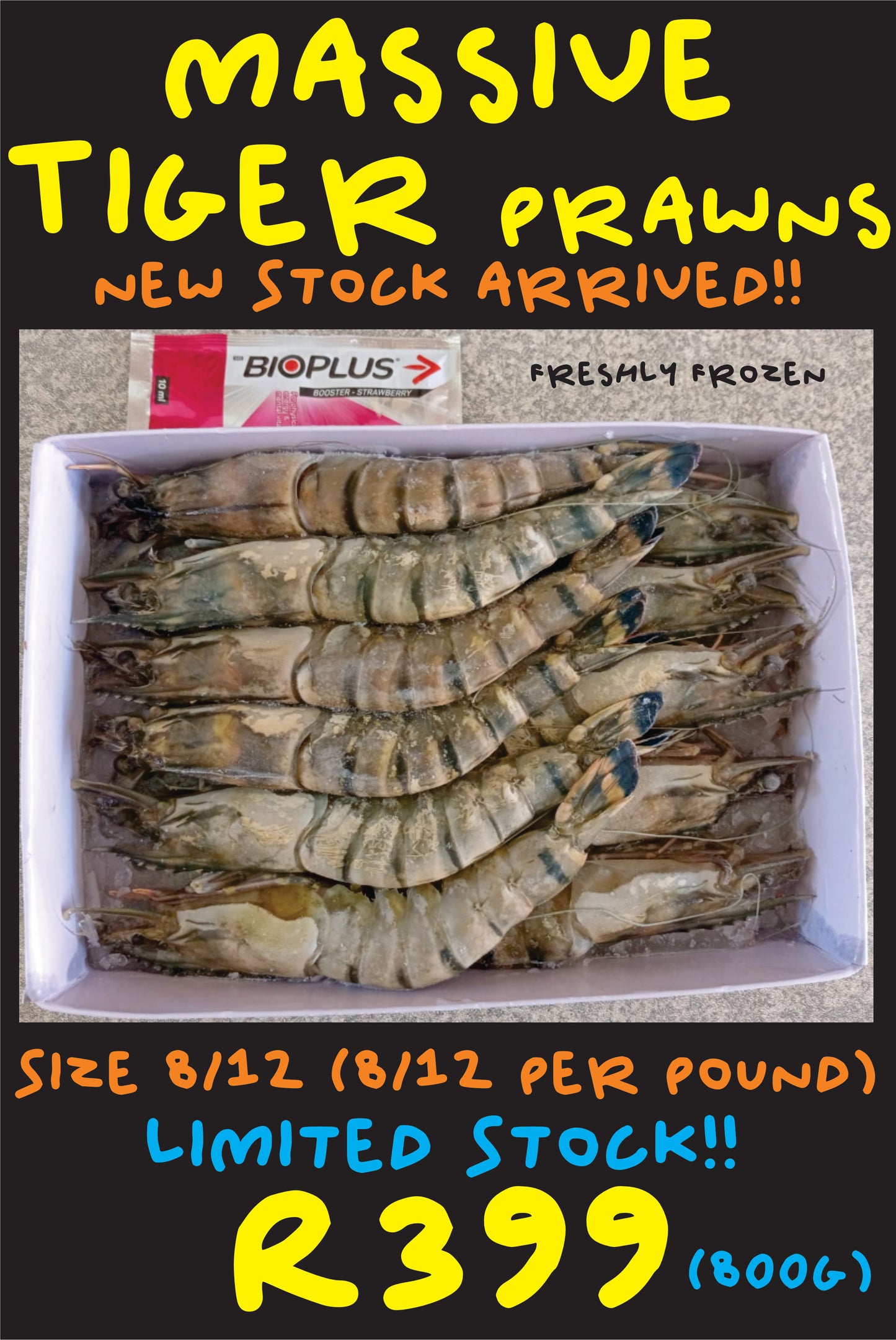 MASSIVE Tiger Prawns - 800g