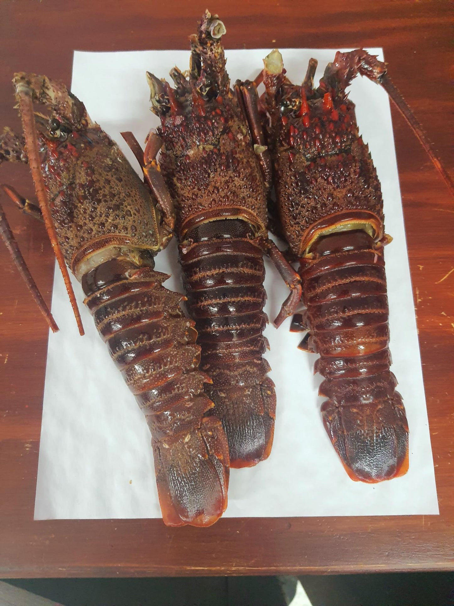 Whole West Coast Lobster!! (from R130 each) (BACK in Stock!!