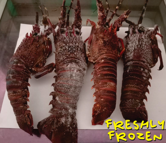 Whole West Coast Lobster!! (from R130 each) (BACK in Stock!!