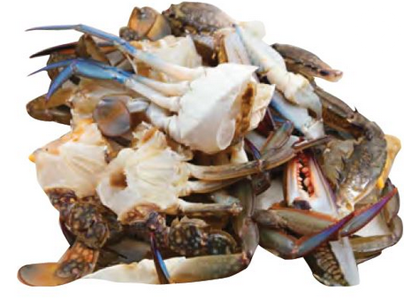 Blue Crab Sections (1kg) (sold out, sorry)