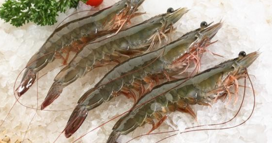 Vannamei King Prawns 16/20 - Frozen (Sold Out)