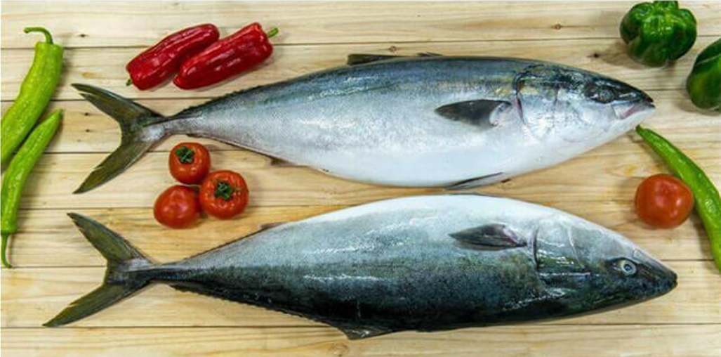 Whole Local Yellowtail - price per kg