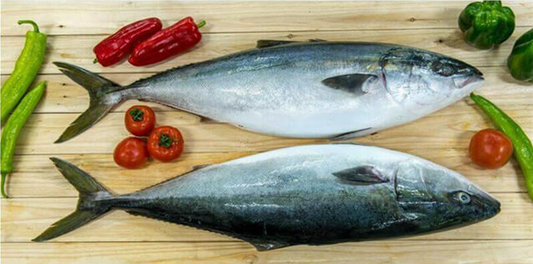Whole Local Yellowtail - price per kg